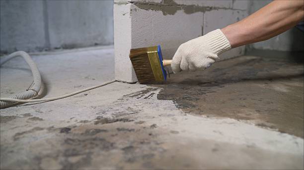 SJ Waterproofing Pros Waterproofing coverage map for Bethel, WA and surrounding area